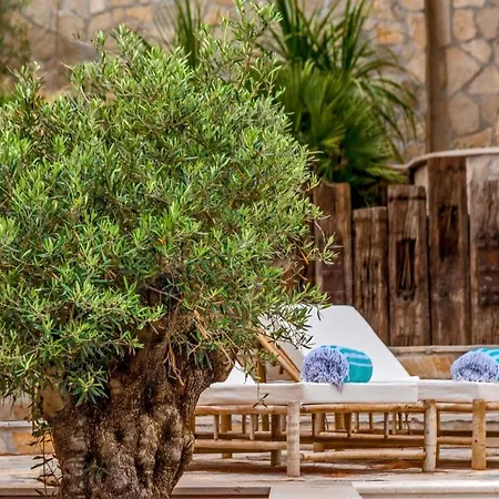 Luxury Beachfront Brac Bliss With Private Pool At The On Brac Island - Sumartin