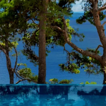 Luxury Beachfront Brac Bliss With Private Pool At The On Brac Island - Sumartin